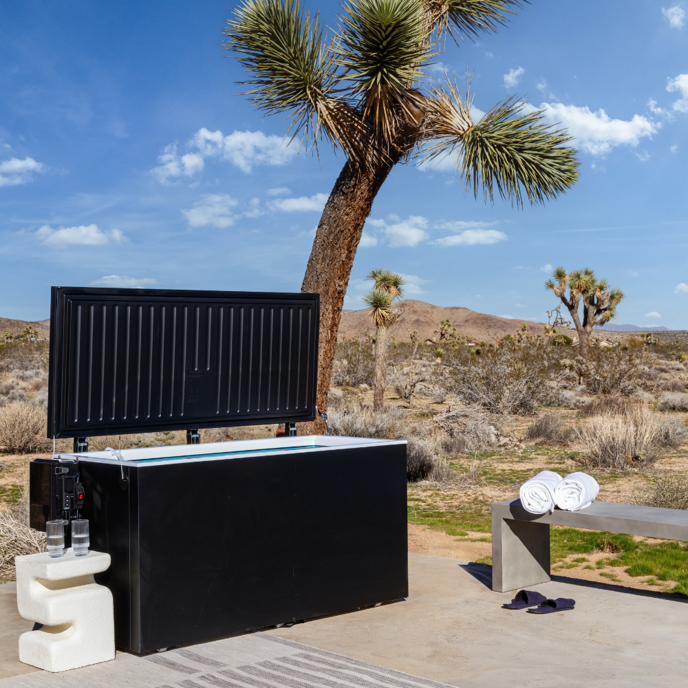Black matte Plunge Zero HardTop cold plunge tub in desert landscape and palm trees in the background